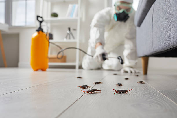 Commercial Kitchen Cockroach Control in Eleele